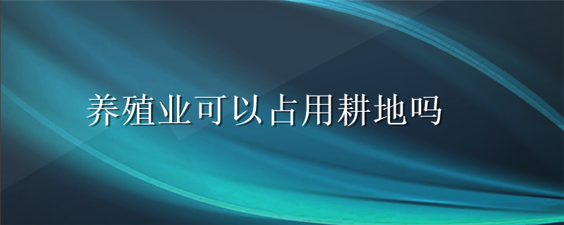 养殖业可以占用基本农田耕地吗