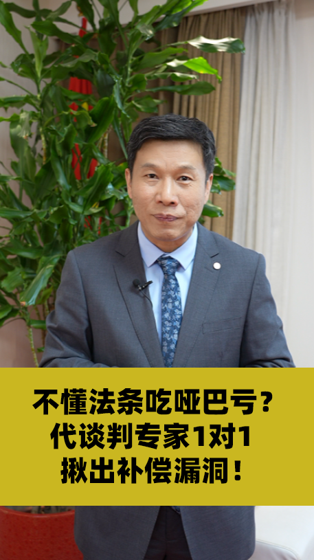 不懂法条吃哑巴亏？代谈判专家1对1